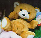 Teddybär als Handspielpuppe